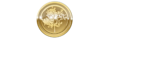 Leon Springs Dental Center